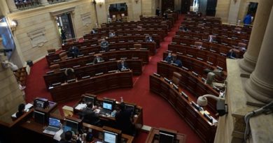 Cámara aprueba en sexto debate  cadena perpetua para violadores de niño