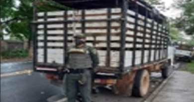 Incautación de semovientes en el Municipio de La Apartada, Córdoba