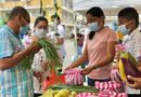 Mercado Campesino hoy en Montería, vendedores se mostraron felices