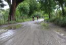 Adjudicado contrato para la pavimentación de la vía a Los Pericos zona rural de Montería