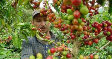 Vicepresidenta Francia Márquez instaló Cumbre de Diálogo Social: Retorno al campo