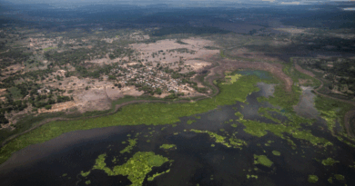 Ecosistemas se verán afectados por ciclones, tormentas, heladas, entre otros fenómenos climatológicos