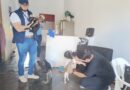 Los hogares de paso de rescatistas de animales reciben acompañamiento