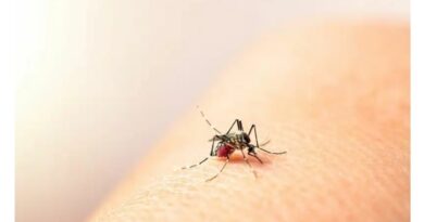 Intensificar la vigilancia del dengue y malaria, el llamado del Gobierno de Córdoba