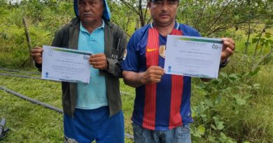 50 hectáreas degradadas por minería aurífera son recuperadas por Unicórdoba